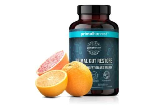 primal gut restore for candida cleanse