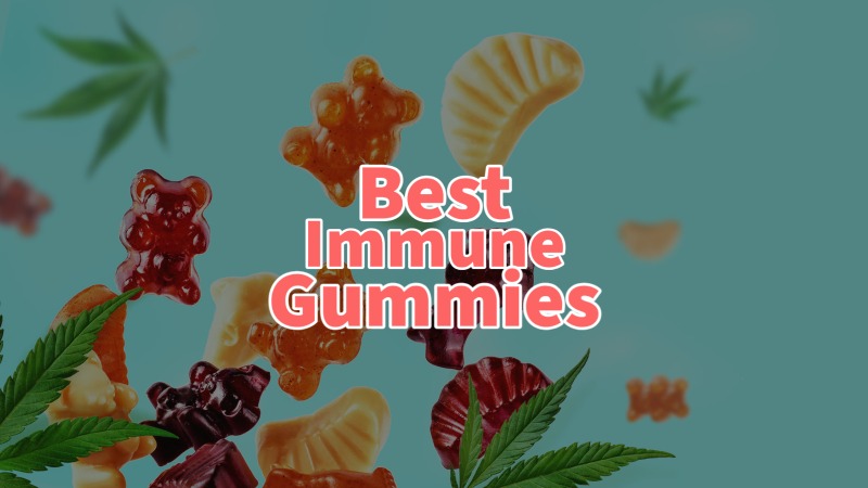 immune gummies for adults guide
