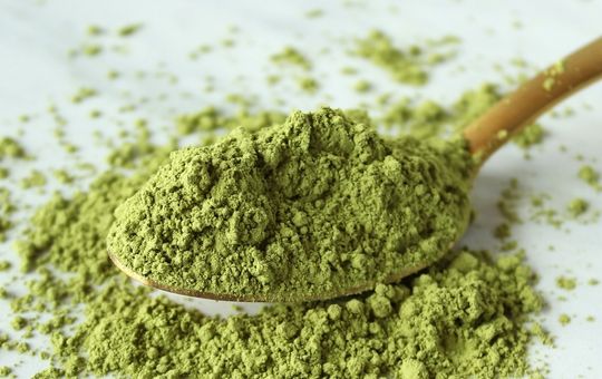 Primal greens powder in a spoon